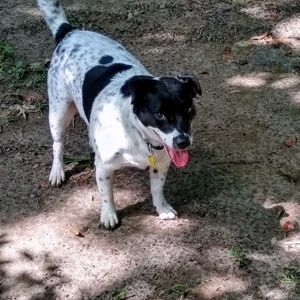 Meet your Posher, Larry